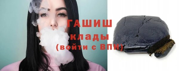 хмурый Болотное