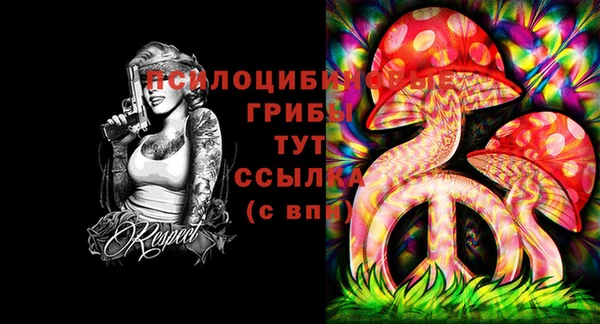 МДПВ Покровск