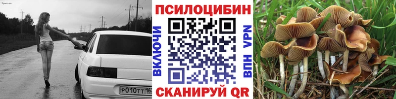 хочу   Шацк  Псилоцибиновые грибы Magic Shrooms 